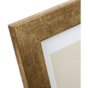Goldbuch fotolijst Ian goud 20x30 cm