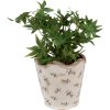 Clayre & Eef 6CE1672L Binnen Bloempot Beige Ø 19x18 cm