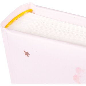 Goldbuch babyalbum Ballon Reis Meisje 30x31 cm 60 paginas glassine
