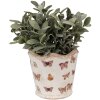 Clayre & Eef 6CE1664S Bloempot Ø13x12 cm Beige Roze Keramiek Vlinder