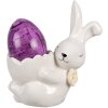Clayre & Eef 6CE1700 Eierdop Bunny Wit 10x6x11 cm Landelijke stijl