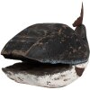 Clayre & Eef 6H2349 Decoratieve Walvis 36x15x23 cm Zwart Wit