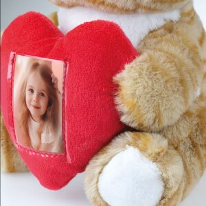 ZEP kat teddybeer met hart lijst 3,5x4,5 cm 16x13x23 cm