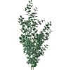 Clayre & Eef 5PL0084 Decoratieve tak groen 8x3x70 cm