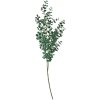 Clayre & Eef 5PL0084 Decoratieve tak groen 8x3x70 cm