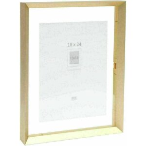 Deknudt S028A1 Fotolijst goud aluminium strip zwevend...