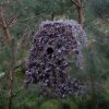 Buteo Photo Gear hybride camouflagenet natuurlijk groen 1,5x3 m