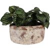 Clayre & Eef 6TE0529L Bloempot Terracotta Beige Bruin Ø 23x11 cm Landelijke stijl