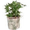Clayre & Eef 6TE0526XL Bloempot Terracotta Beige Ø 18x16 cm Landelijke stijl