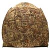 Buteo Photo Gear camouflagetent Aquila Mark II riet