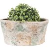 Clayre & Eef 6TE0533M Bloempot Beige Groen 22x13x11 cm
