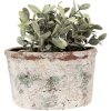 Clayre & Eef 6TE0534L Bloempot 21x13x12 cm
