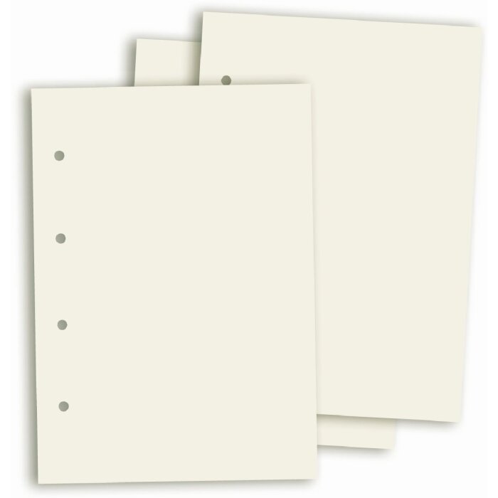 Goldbuch fotokarton A4 23x30 cm 20 vellen voor 4-rings mechanisme zonder glasfolie