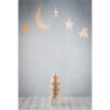 StudioKing stoffen achtergrond RSG1 2x3m met print
