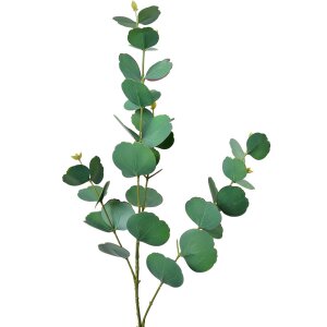Clayre & Eef 5PL0104 Decoratie Tak 18x6x85 cm