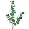 Clayre & Eef 5PL0104 Decoratie Tak 18x6x85 cm