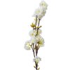Clayre & Eef 5PL0093 Decoratieve Tak met Bloemen Wit 10x8x92 cm Kunststof