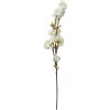 Clayre & Eef 5PL0093 Decoratieve Tak met Bloemen Wit 10x8x92 cm Kunststof