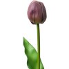 Clayre & Eef 6PL0312 Kunstbloem Tulp paars 4x4x32 cm