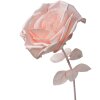 Clayre & Eef 50780 Decoratie Roos Ø 33x100 cm