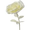 Clayre & Eef 50781 Decoratie Roos Ø 23x80 cm