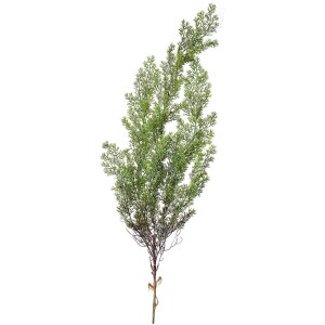 Clayre & Eef 5PL0087 Decoratie cipres tak 10x10x100 cm