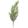 Clayre & Eef 5PL0087 Decoratie cipres tak 10x10x100 cm