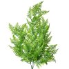 Clayre & Eef 5PL0088 Decoratie Tak Perzische Varen12x12x80 cm