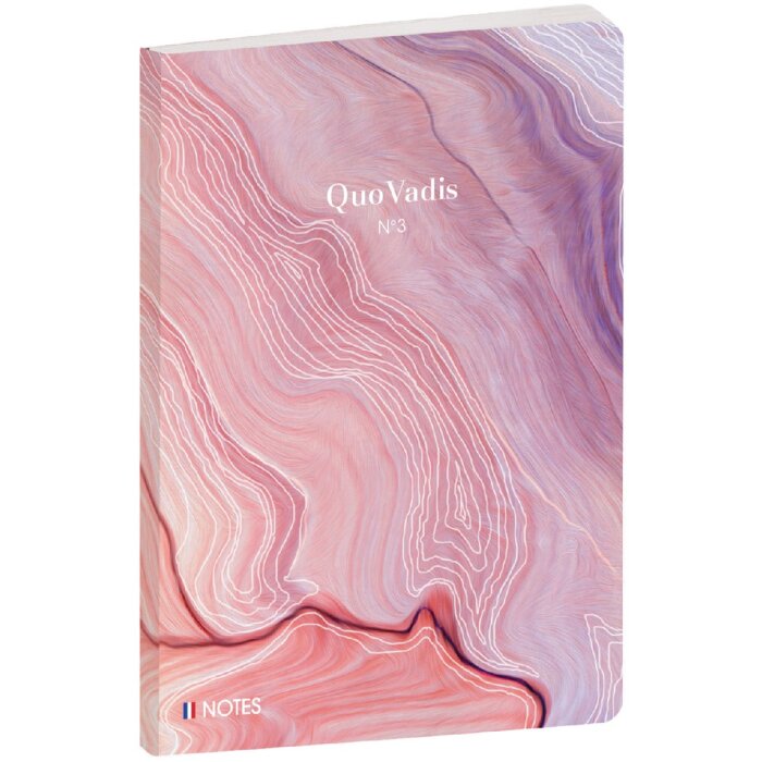 Quo Vadis Notitieboek Iconic Veelkleurig Gelinieerd 15x21 cm