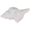 Clayre & Eef 65733 Deurknop Schelp Wit 10x5x6 cm Vintage Stijl Polyresin