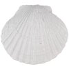 Clayre & Eef 65734 Deurknop Schelp Wit Polyresin 6x4x6 cm Vintage Stijl