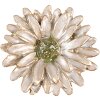 Clayre & Eef 65738 Deurknop Bloem Witgoud Ø 4x3 cm Metaal Botanisch