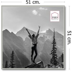 Haes Deco EF18S Easy Frame Kunststoflijst Zilver 50x50 cm