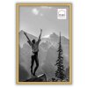 Haes Deco EF4G Easy Frame Kunststof Fotolijst Goud 20x30 cm