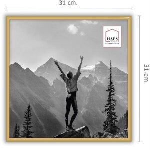 Haes Deco EF13G Easy Frame Goud kunststof lijst 30x30 cm