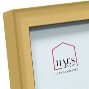 Haes Deco EF13G Easy Frame Goud kunststof lijst 30x30 cm