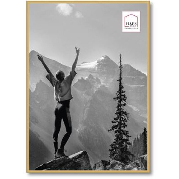 Haes Deco kunststof fotolijst EF8G Easy Frame Goud 50x70 cm voor wandmontage