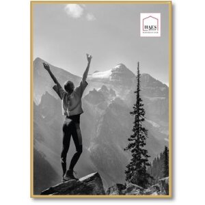 Haes Deco kunststof fotolijst EF8G Easy Frame Goud 50x70...