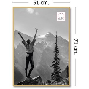 Haes Deco kunststof fotolijst EF8G Easy Frame Goud 50x70 cm voor wandmontage