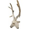 Clayre & Eef 6MG0057 Decoratie Hert Beige Bruin 33x14x43 cm