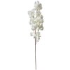 Clayre & Eef 5PL0118W Decoratietak met Bloemen Wit 24x8x100 cm