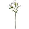 Clayre & Eef 5PL0119W Decoratieve Tak Bloemen Wit 17x12x71 cm Kunststof