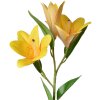 Clayre & Eef 5PL0119Y Decoratieve Tak met Bloemen Geel 17x12x71 cm Modern