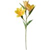 Clayre & Eef 5PL0119Y Decoratieve Tak met Bloemen Geel 17x12x71 cm Modern