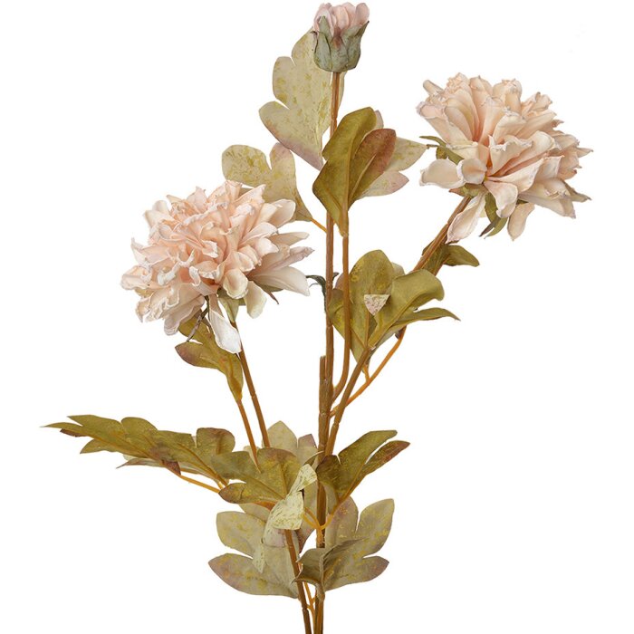 Clayre & Eef 6PL0328W Decoratieve tak met bloemen Beige 9x9x68 cm