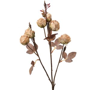 Clayre & Eef 6PL0330W Decoratie Tak Bloemen Beige Bruin 16x9x73 cm