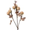 Clayre & Eef 6PL0330W Decoratie Tak Bloemen Beige Bruin 16x9x73 cm