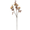 Clayre & Eef 6PL0330W Decoratie Tak Bloemen Beige Bruin 16x9x73 cm