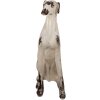Clayre & Eef 5MG0048 Decoratie Hond Beige Bruin 37x24x79 cm
