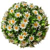 Clayre & Eef 6PL0324M Decoratieve bol kunstbloem madeliefje Ø 22 cm